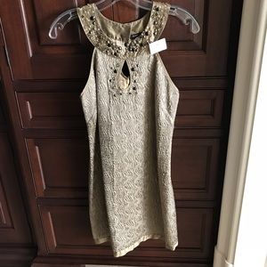 Brand new tags on BCBG shift dress